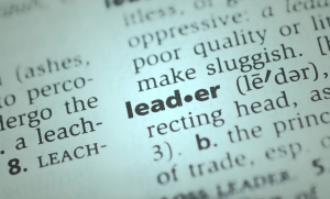executive leadership coaching