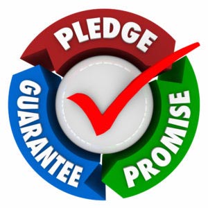 Pledge, Promise and Guarantee words with check mark to illustrate assurance, oath or vow of great service