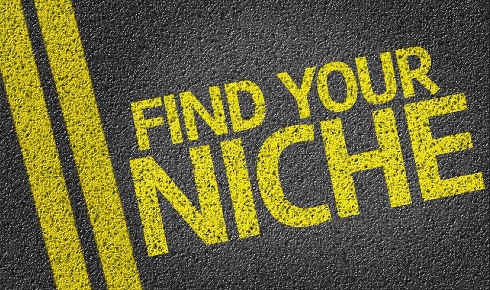 A graphic that reads Find Your Niche depicts Why I Love Businesses with a Strong Business Niche