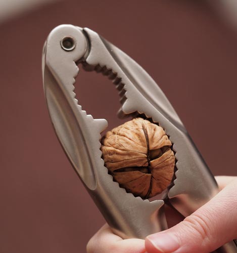 A walnut in a handheld nutcracker depicts hiring a third-party analyst