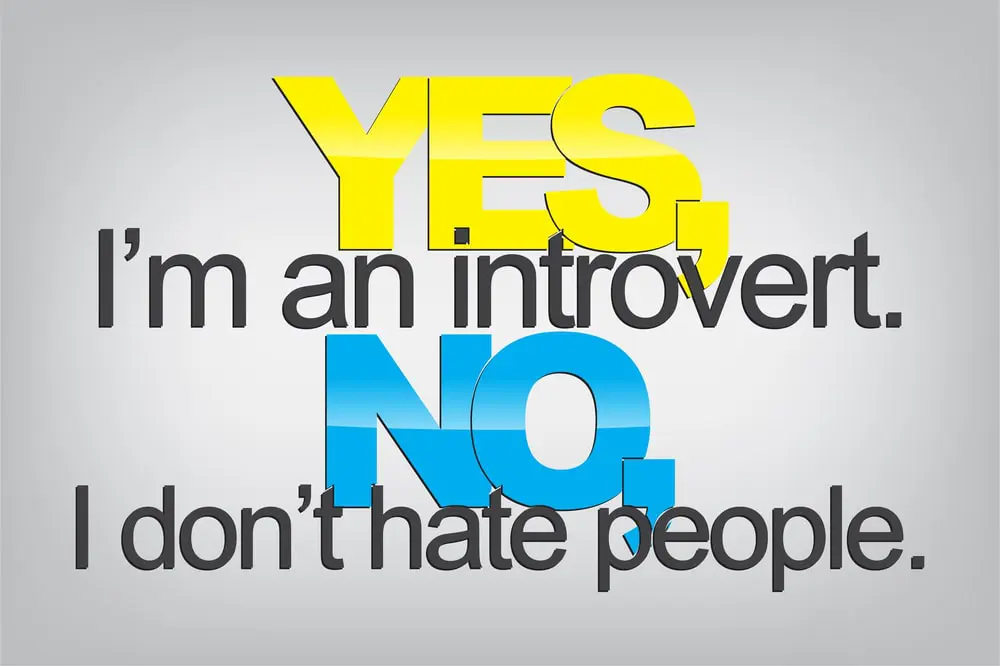 The graphic reads: yes, I'm an introvert. No, I don't hate people. The copy illustrates emphasizes the idea of successful selling for introverts.
