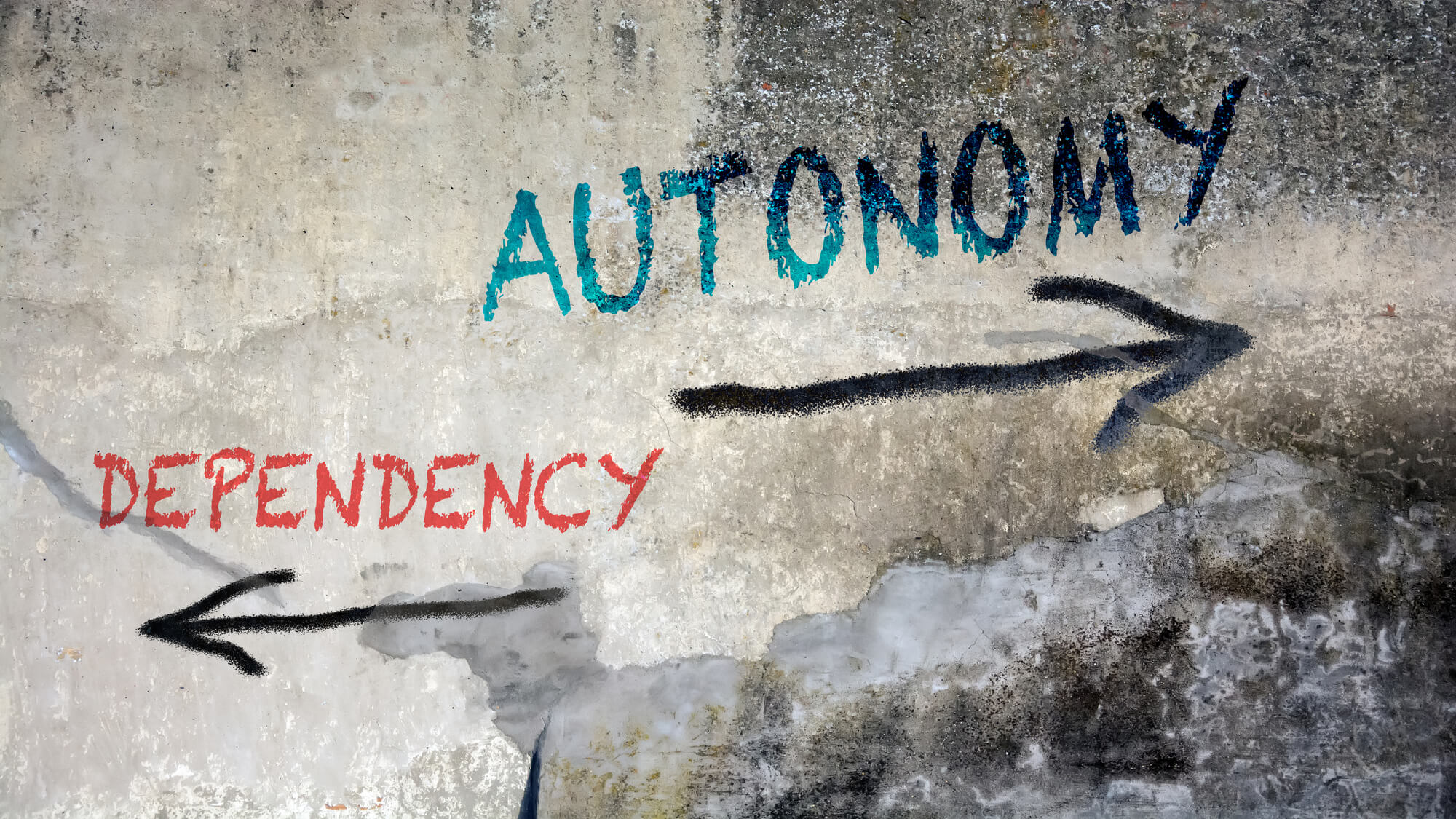 Autonomy in the Workplace: Why Its So Important