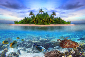 A photo of a Maldives tropical island suggests that planning a business exit strategy is critical