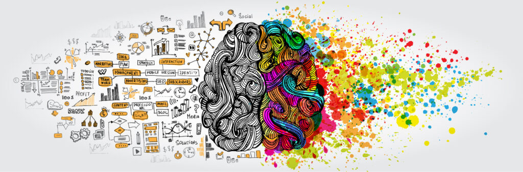 A graphic design showing details of the human brain and the location of creativity