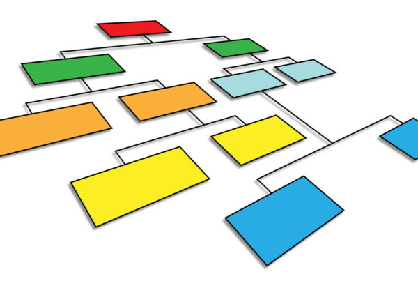A graphic showing colored boxes that represents a functional organizational chart